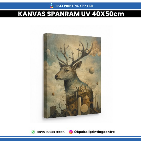 Spanram Kanvas 40x50