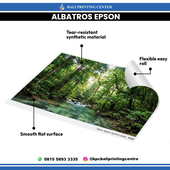 Print Albatros