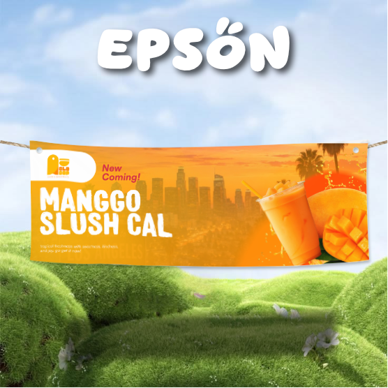 Epson / Ecosolvent